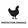 Protection Animale ESAT LES PINS