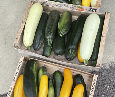 Agriculture Bio et raisonnée Service: Maraîchage 